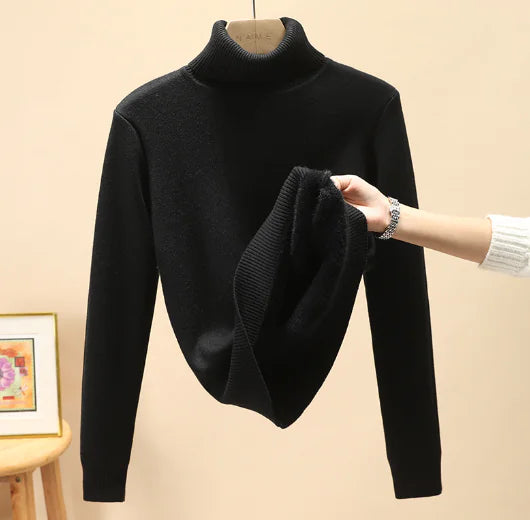 Womens Thick Lined Turtleneck Sweater