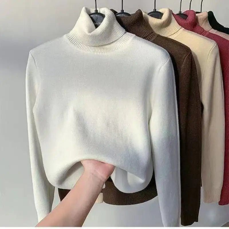 Womens Thick Lined Turtleneck Sweater